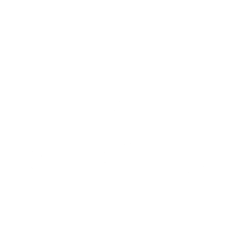 Motus